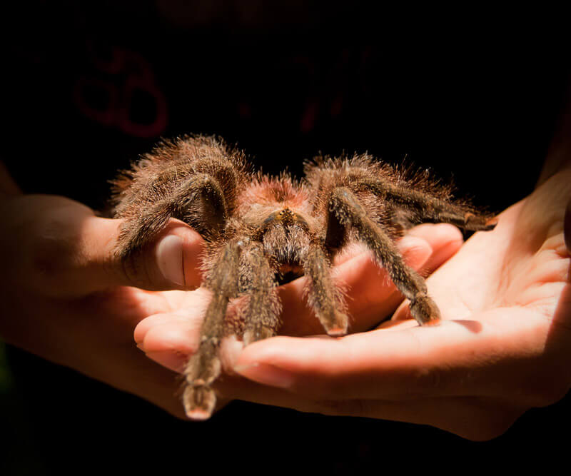 Demystifying the Stereotype.