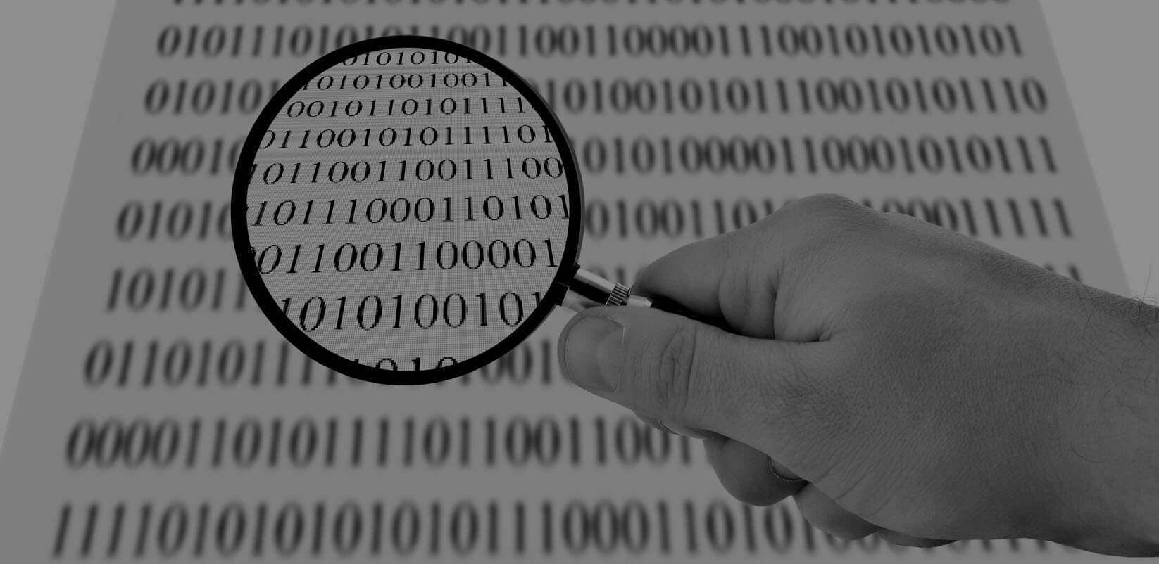 Internal and external breaches